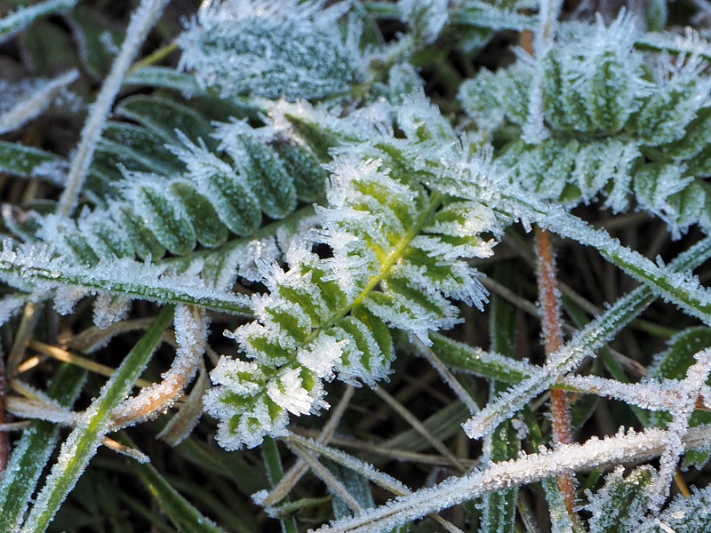 sady nad Hroznovou Lhotou