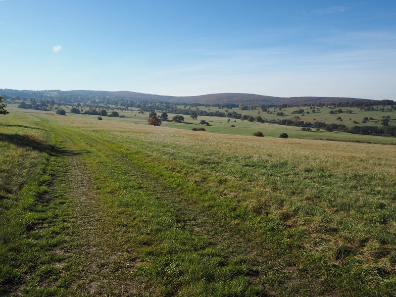 přes Vojšické louky