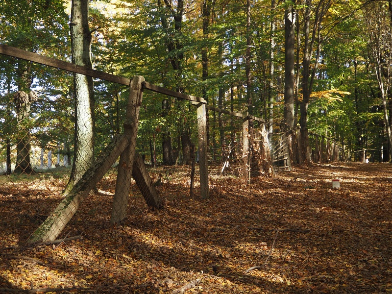 přes Zroubenec, Machnáč a Tlstou horu