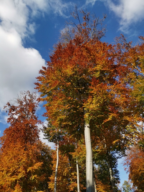 přes Skalický vrch