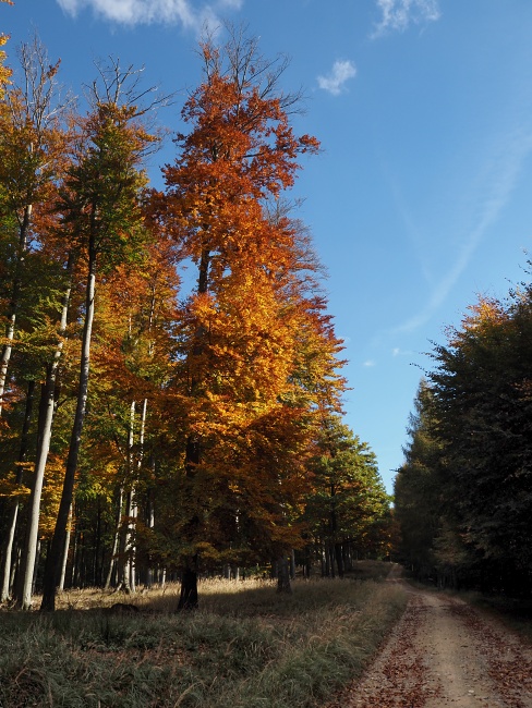 přes Skalický vrch