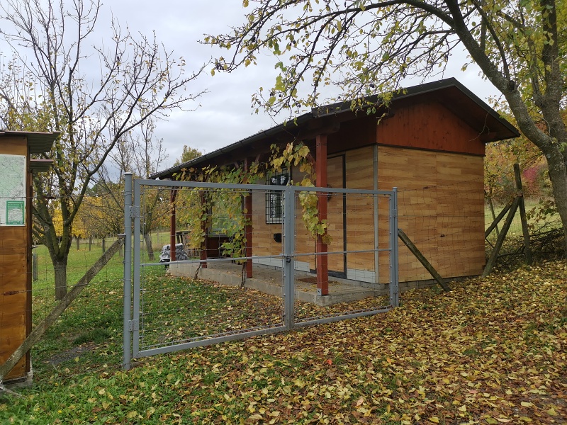 Pod trnkovým stromem