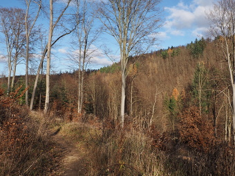 pěšina Karla Morávka