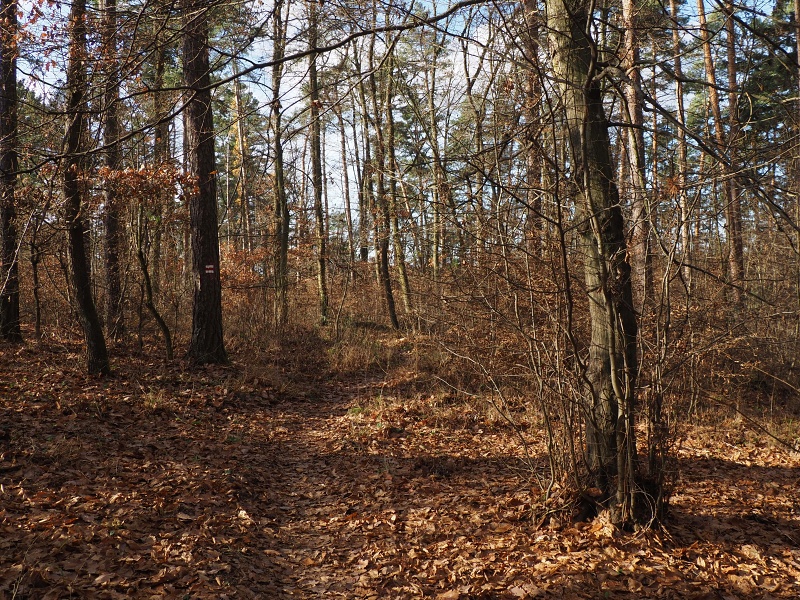 pěšina Karla Morávka