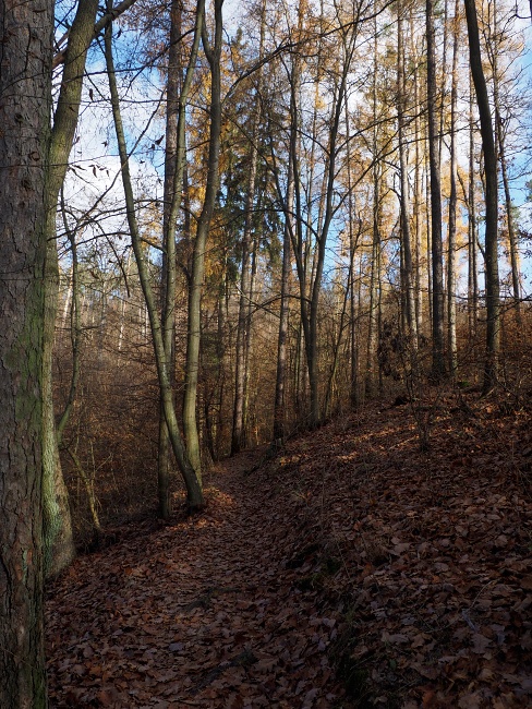 pěšina Karla Morávka