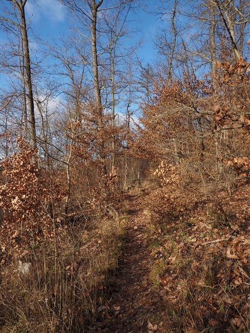 pěšina Karla Morávka