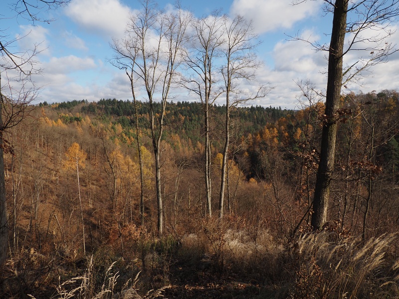 pěšina Karla Morávka