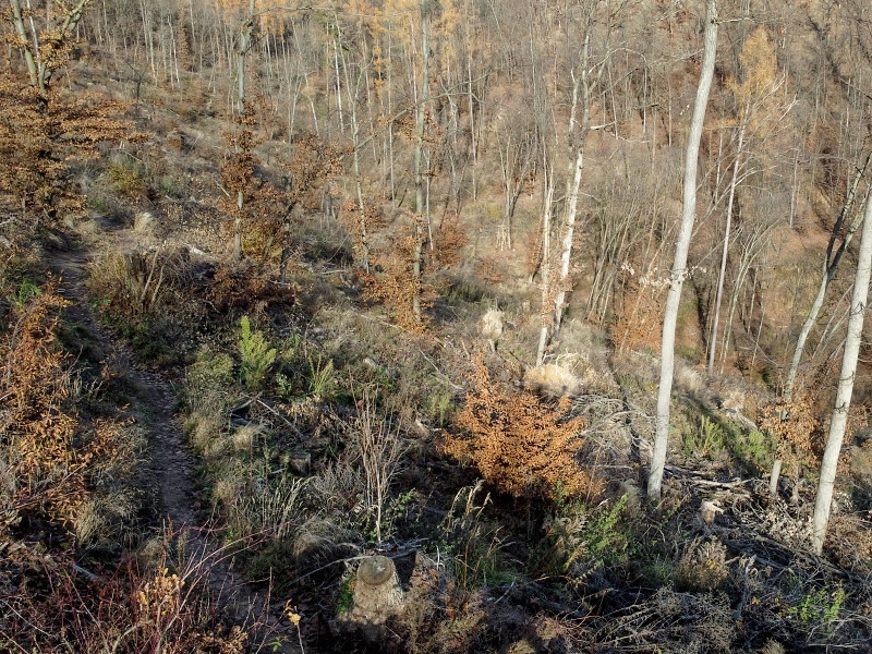 pěšina Karla Morávka