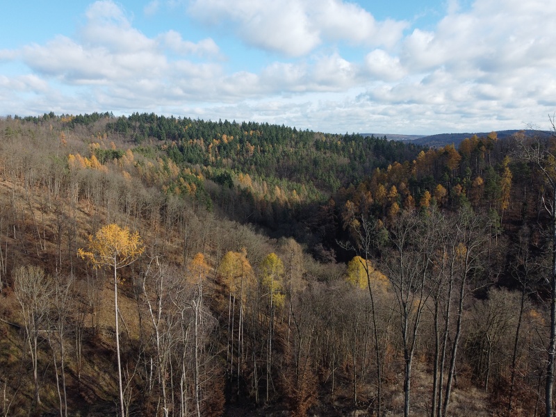 pěšina Karla Morávka