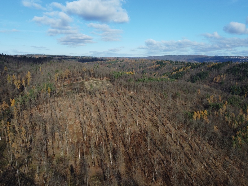 pěšina Karla Morávka