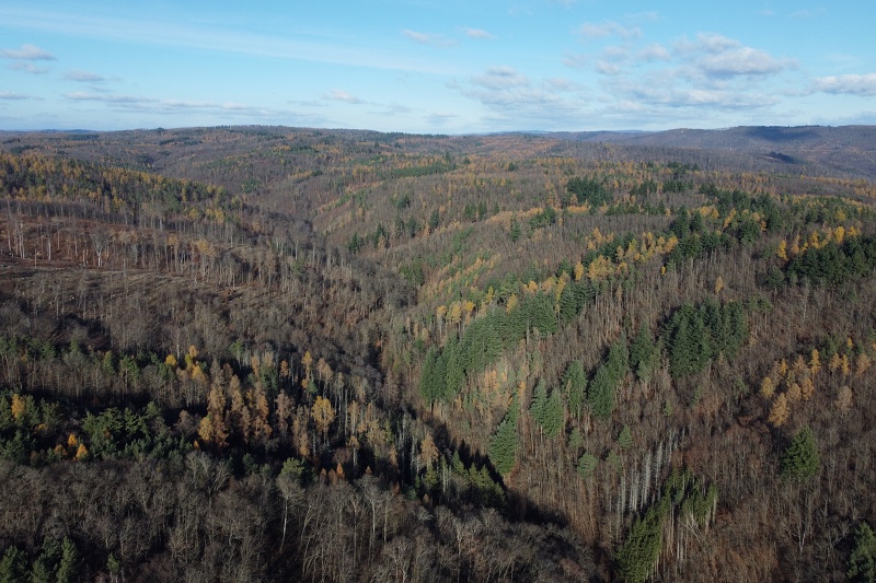 pěšina Karla Morávka