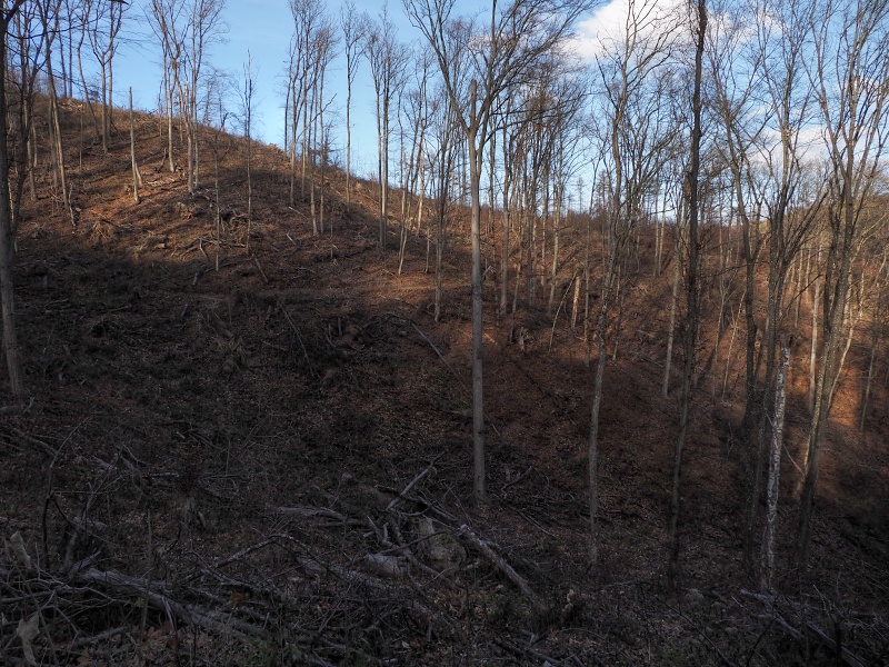 pěšina Karla Morávka