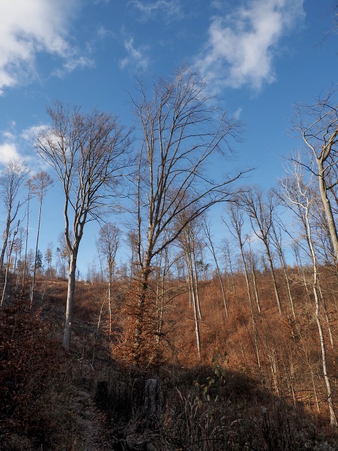 pěšina Karla Morávka