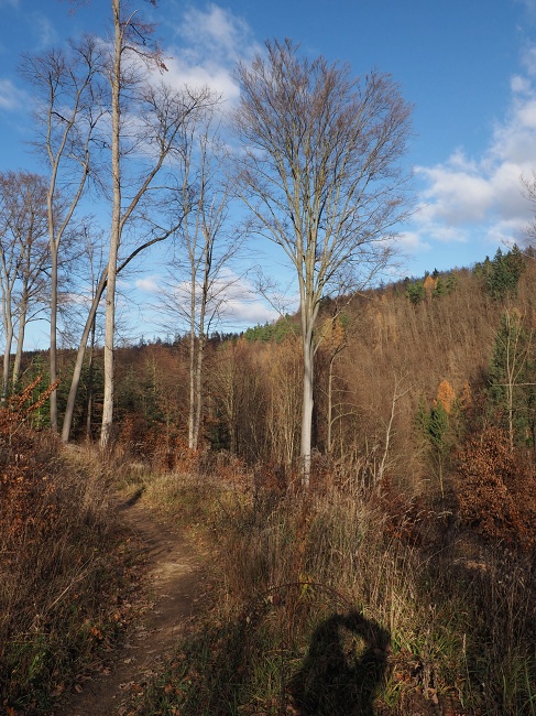 pěšina Karla Morávka