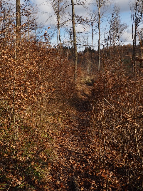 pěšina Karla Morávka