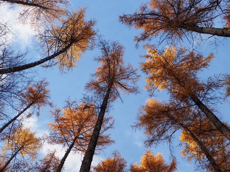 pěšina Karla Morávka