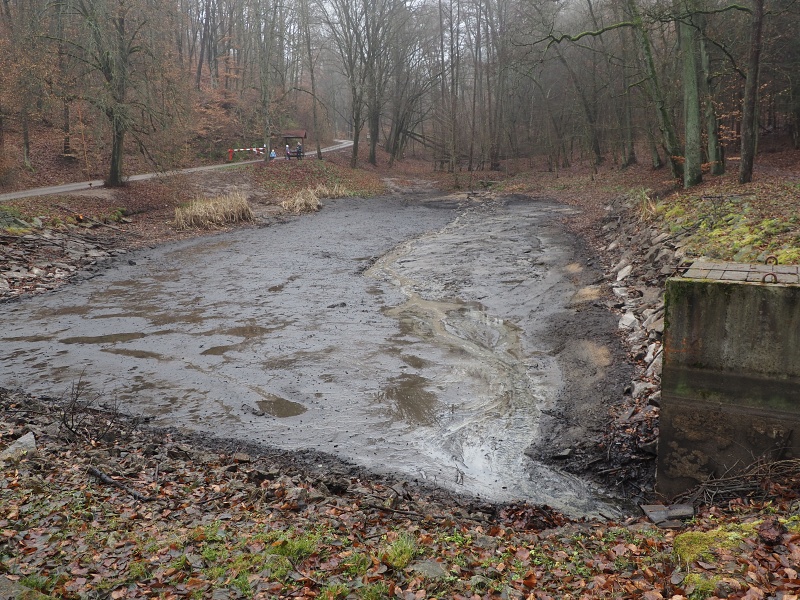 rybníček za Lelekovicemi