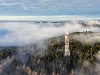 Svratecká vrchovina, Horní les