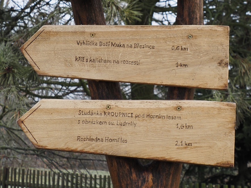 z Rovečného na rozhlednu Horní les