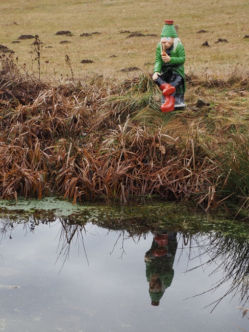 z Rovečného na rozhlednu Horní les