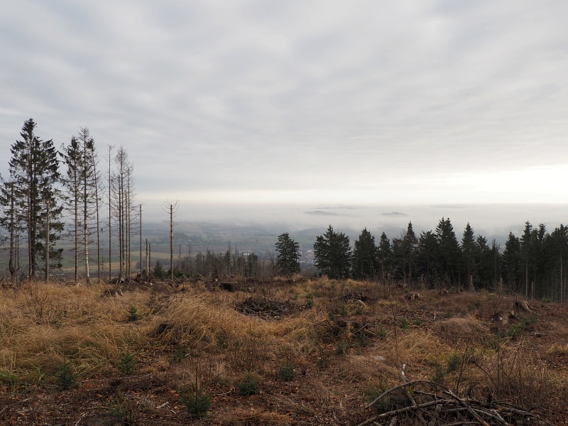z Rovečného na rozhlednu Horní les