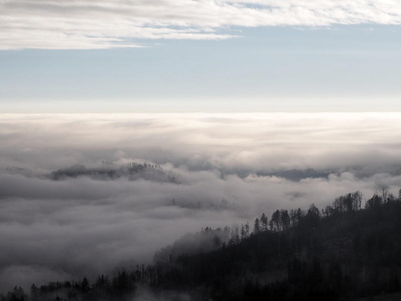 z Rovečného na rozhlednu Horní les