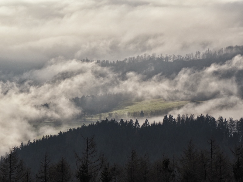 z Rovečného na rozhlednu Horní les