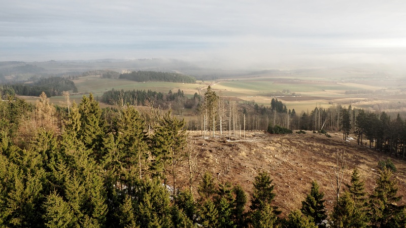 z Rovečného na rozhlednu Horní les