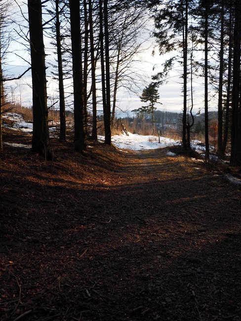 úbočím Kyčery a Myší hory