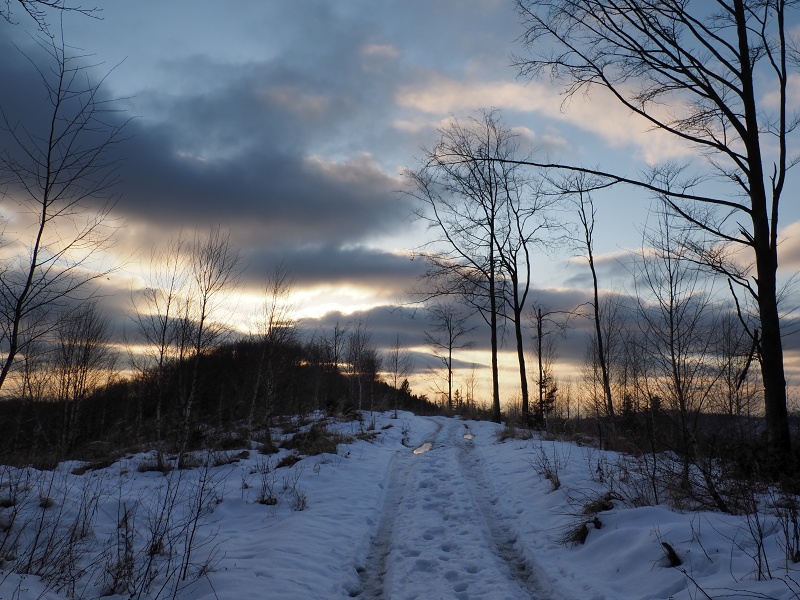 úbočím Kyčery a Myší hory