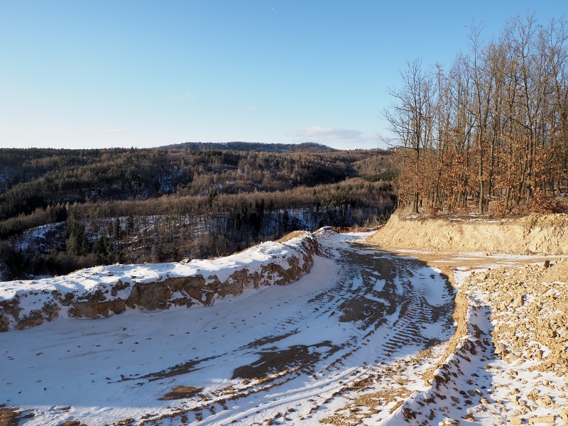 lesní cesta Babídolská