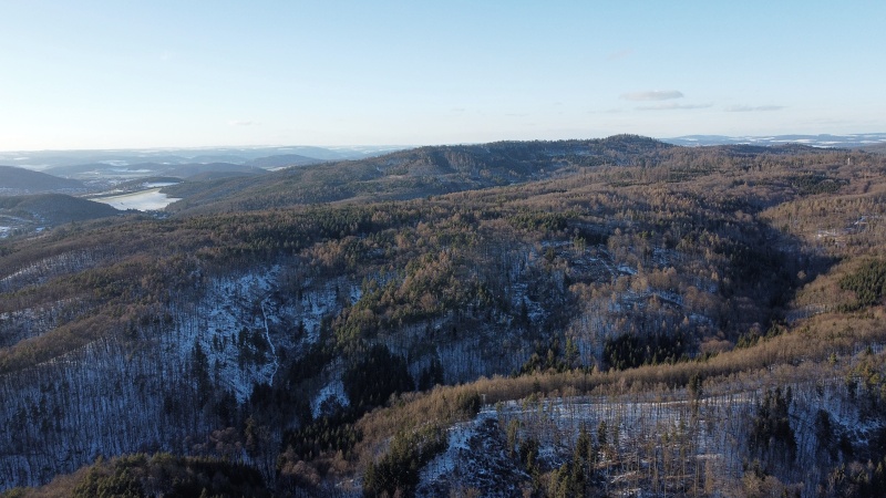 lesní cesta Babídolská