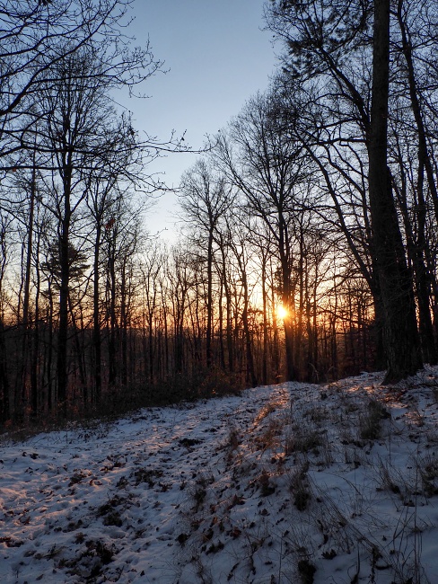 lesní cesta Babídolská