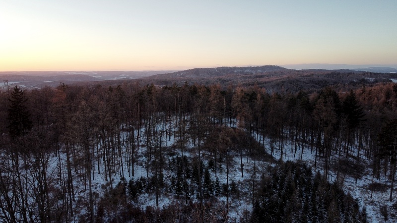 lesní cesta Babídolská