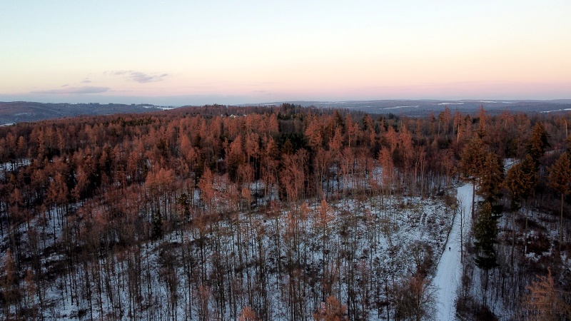 lesní cesta Babídolská