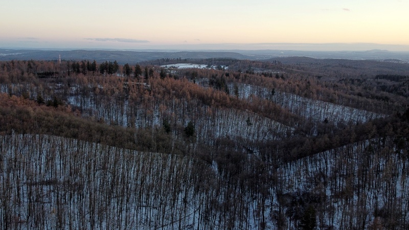 lesní cesta Babídolská