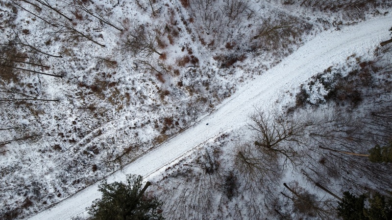 lesní cesta Babídolská