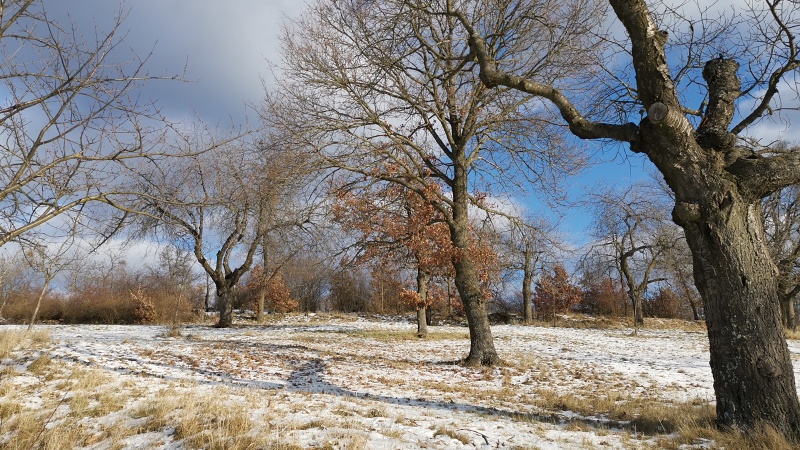 Ořešín, lokalita Horka