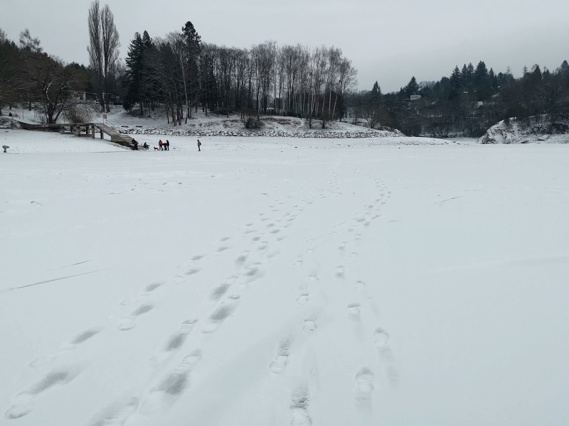 Brněnská přehrada