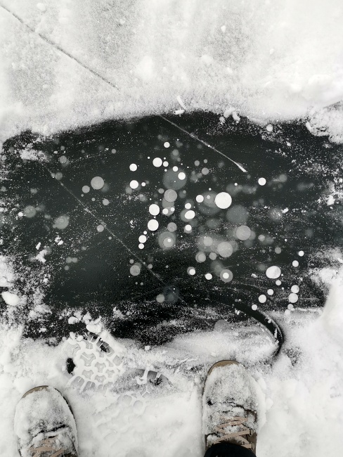 Brněnská přehrada