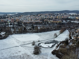 Řečkovice, Zamilovaný hájek