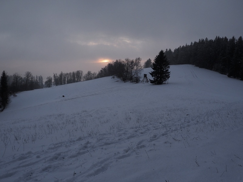 mezi Jelenem a Kutným vrchem