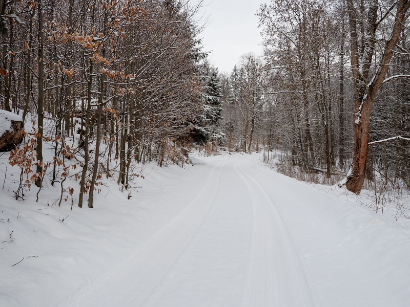 z Branné do Kronfelzova