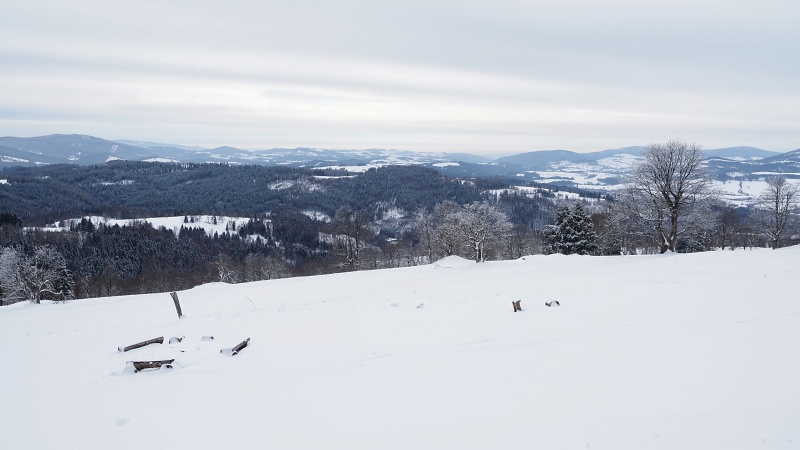 Dalimilova rozhledna