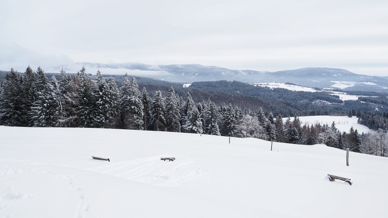 Dalimilova rozhledna