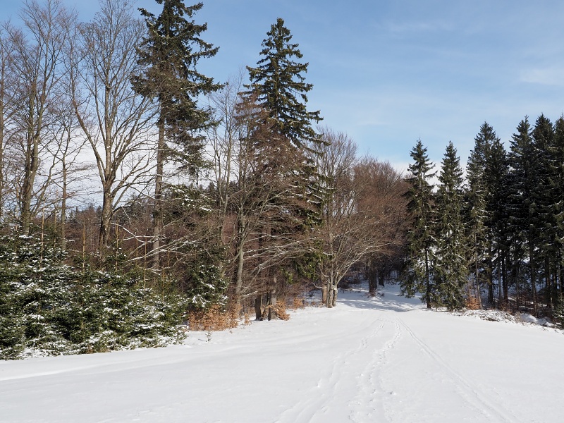 Alojzovské louky a Zadní Alojzov