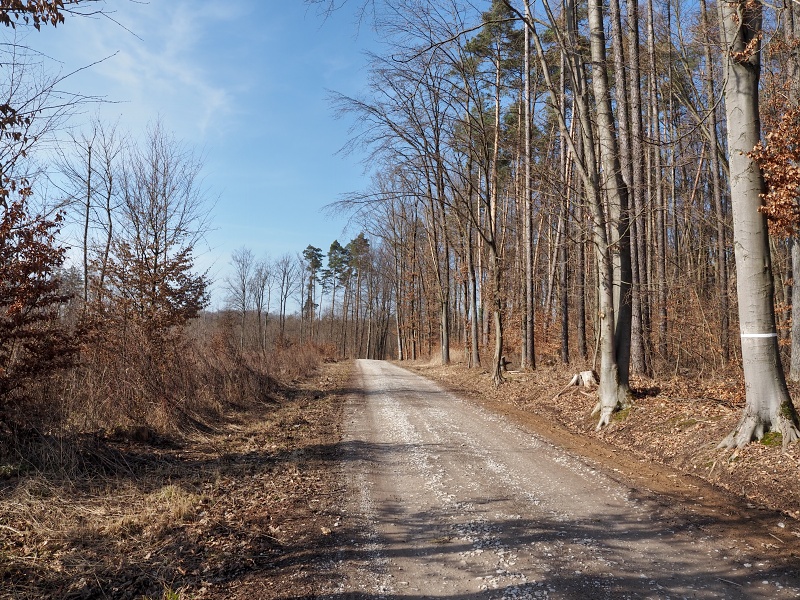 nad Březinským údolím