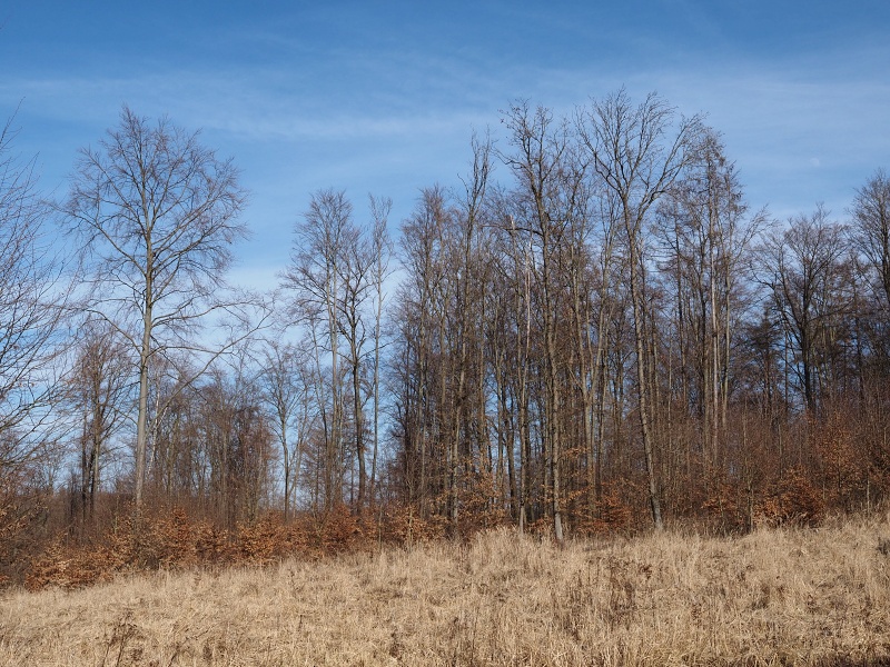 nad Březinským údolím