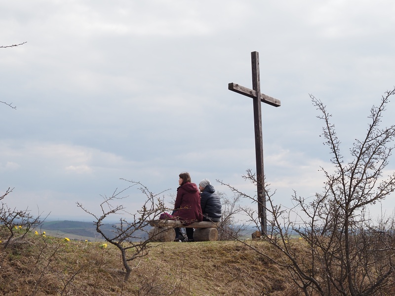 Kamenný vrch, hlaváček jarní
