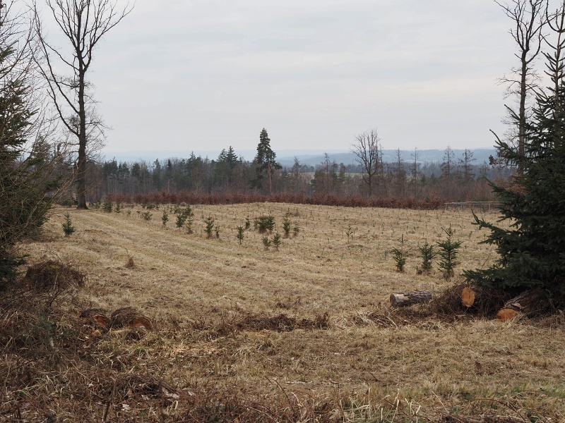 pod Dránským žlíbkem